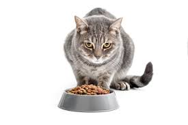 warning of food