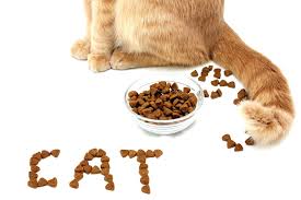 caty